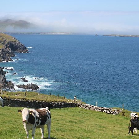 Cois Chnoic Holiday Home Dingle By Trident Holiday Homes ภายนอก รูปภาพ