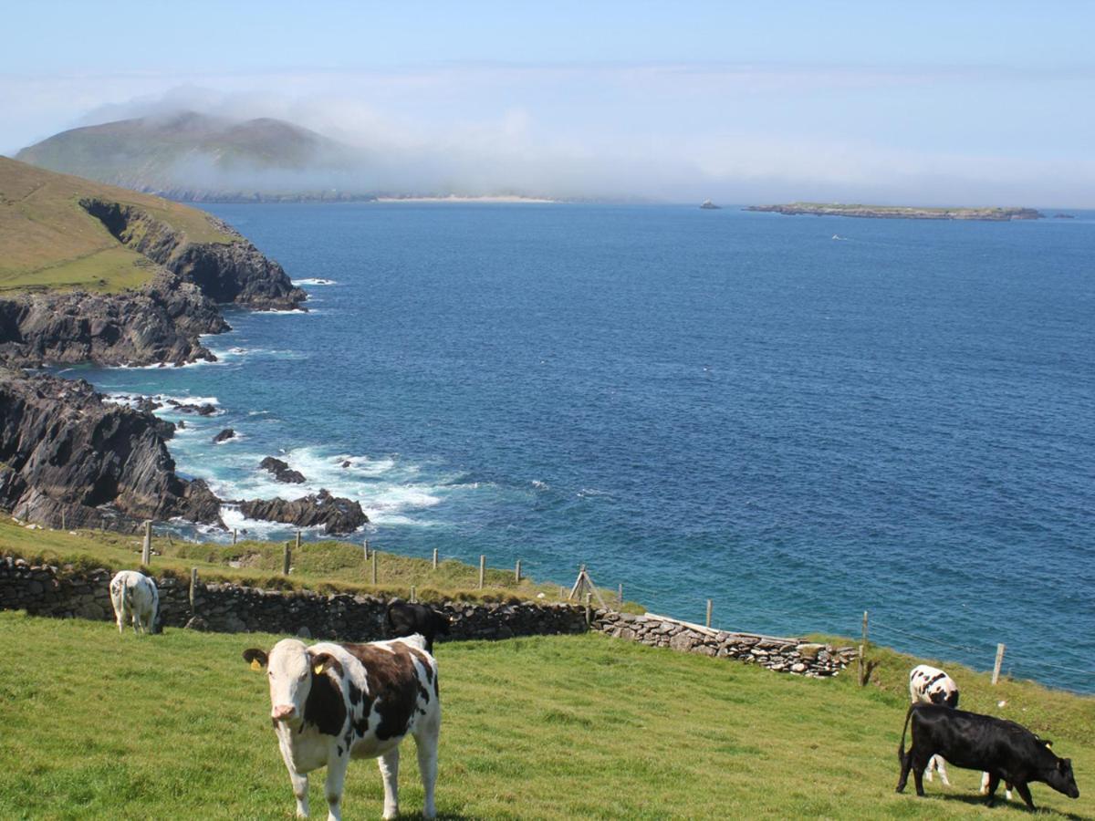 Cois Chnoic Holiday Home Dingle By Trident Holiday Homes ภายนอก รูปภาพ