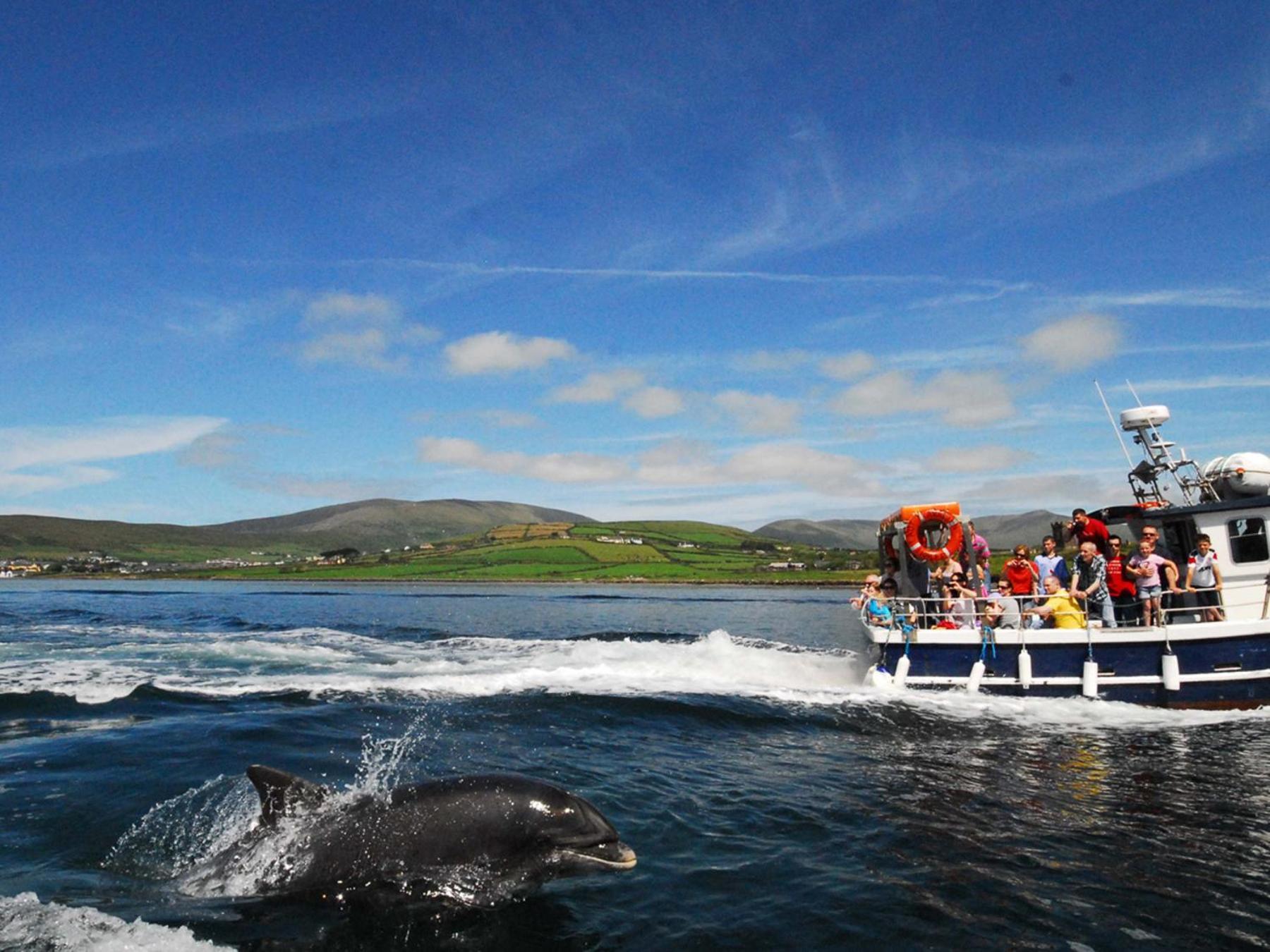 Cois Chnoic Holiday Home Dingle By Trident Holiday Homes ภายนอก รูปภาพ